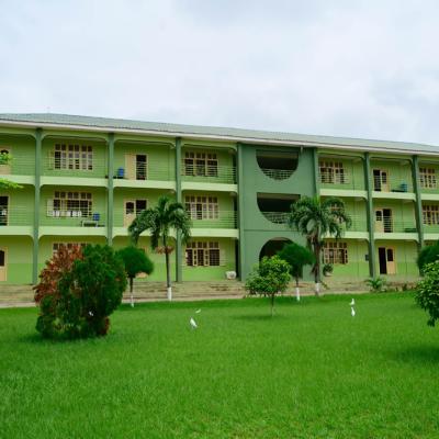 Patdobisa 1143
